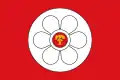 Flag of Salas Altas