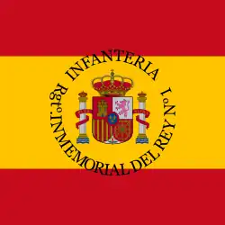 Army unit flag,