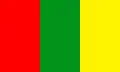 Flag of Monte Grande
