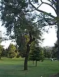 Blackberry Farm Golf Course