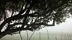 Nokari in Winter