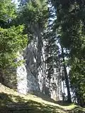 Stone wall below Belmont Castle