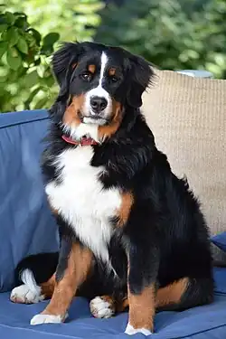 At nine months