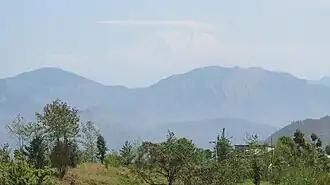 North view