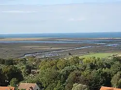 view of a river winding through open wetland