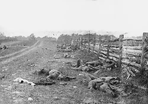 Black and white photo shows the dead bodies of soldiers killed next to a fence, which is on the right.