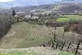 Bogatić - Panorama