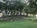 Boxwood Cemetery hillside