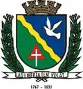 Coat of arms of Rio Pomba