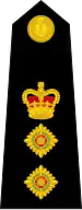 Colonel