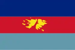 Flag of the BFSAI