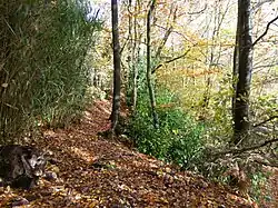 Brook Brick Pit