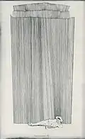 Uomo sdraiato/Man Lying Down (1952). Ink Drawing. Formerly in the Olivetti Collection, Rome