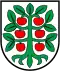 Affoltern im Emmental