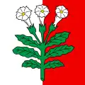 Flag of Corcelles-près-Payerne