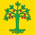 Flag of Domleschg