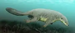 Castorocauda, an otter-like semiaquatic piscivore