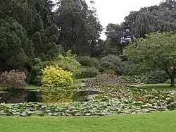 Cefntilla Court