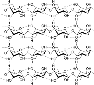 Molecular structure of a cellulose strand