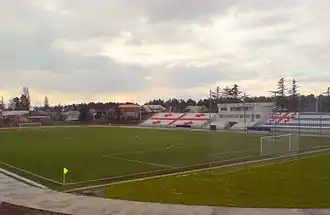 Chele Arena