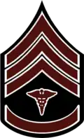Rank insignia for Sergeant First Class, 1902–1909.
