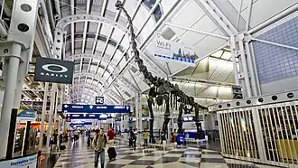 Image 11O'Hare International Airport (from Chicago)