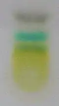 Step 6