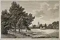 City of Oxford: a glimpse of the city from the meadows. Etching by J. Roffe.