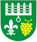 Coat of arms of Diváky