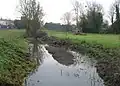 Coe Fen