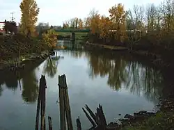 A stream about 40 feet (12 m) wide flows between raised banks lined with trees with yellow leaves. In a few places, wooden posts poke above the water. In the distance, a bridge crosses the stream.