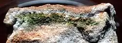 Image 36An Antarctic rock split apart to show endolithic lifeforms showing as a green layer a few millimeters thick (from Habitat)