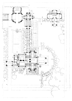 Landscape plan