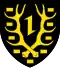 Coat of arms of Kirchhundem