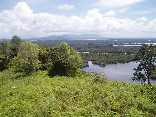 Image 37Wetland habitat types in Borneo (from Habitat)