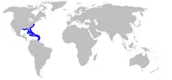 World map with blue coloring in the western Atlantic from Chesapeake Bay through the Antilles, including the northern Gulf of Mexico but not including Mexico or Central America