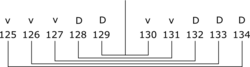 składka n