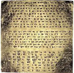 One of the two gold deposition plates