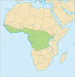 Map showing the range of a host for I. sanghae, the tree pangolin