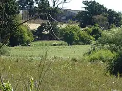 Ducan's Marsh