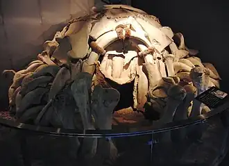 Image 48Mammoth bone dwelling, Mezhirich site, Ukraine (from Domestication of the dog)