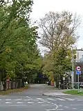 Kauge street