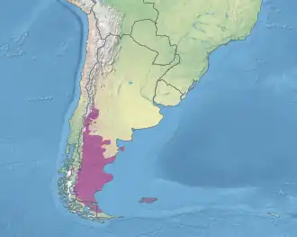 Patagonian Desert