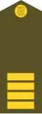 Vanemseersant (Estonian Ground Forces)[18]