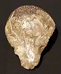 Stone tool – 300,000/250,000 BC