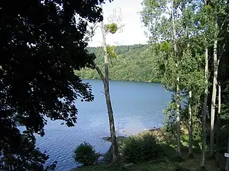 The Gour of Tazenat