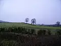 Surrounding farm land