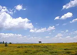 The Mexican Plateau, also known as the Mexican Altiplano or Mesa Central