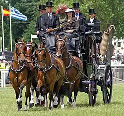 Coach - Multiple passengers and horses