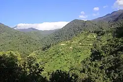 Coffee farms in the Sierra Nevada